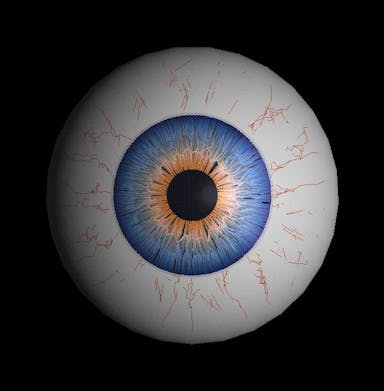 Image of The Eye